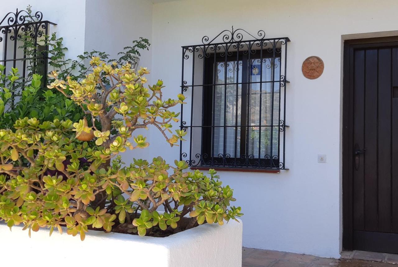 Villa Tortuga Marbella Exterior foto